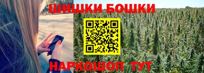 PSILOCYBIN Будённовск