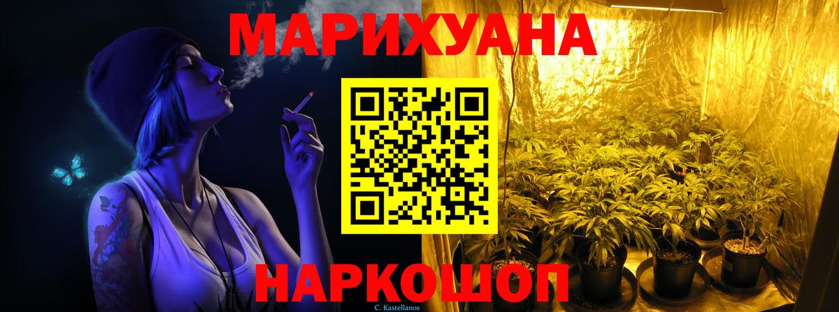 Конопля план Нальчик